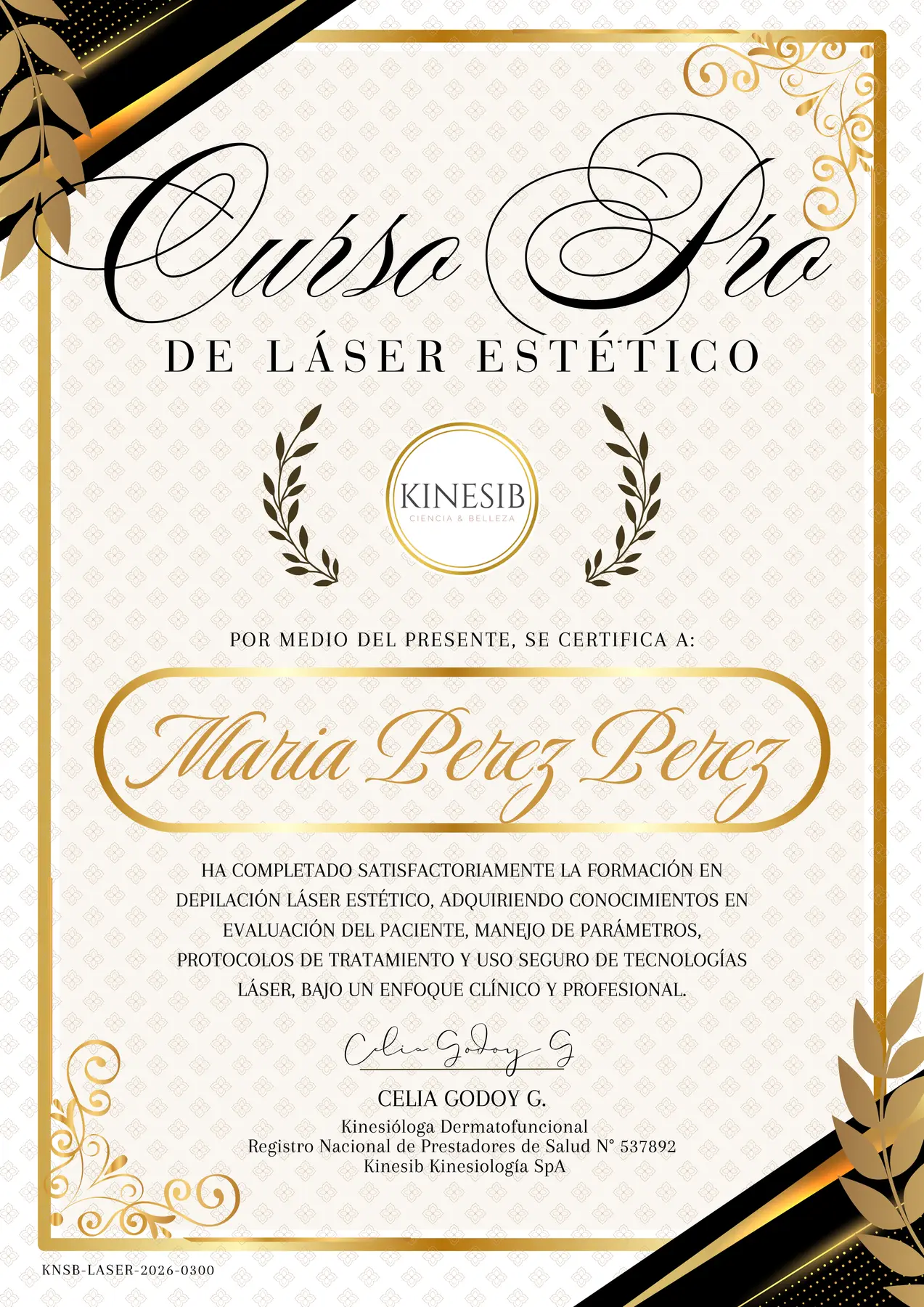 Ejemplo de certificado digital de participación de KineAcademy
